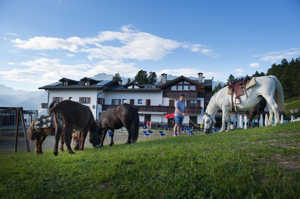 Hotel Gallo Cedrone Valdisotto Luaran gambar