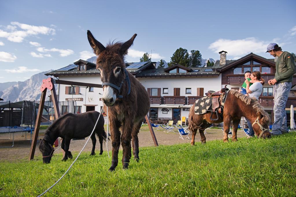 Hotel Gallo Cedrone Valdisotto Luaran gambar